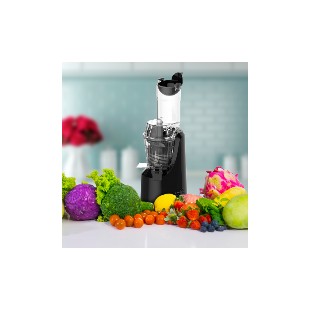 Extracteur de jus techwood / 200W