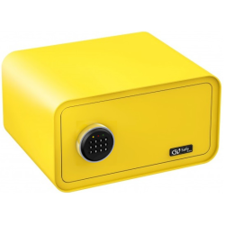 Coffre Fort Olympia GoSafe...