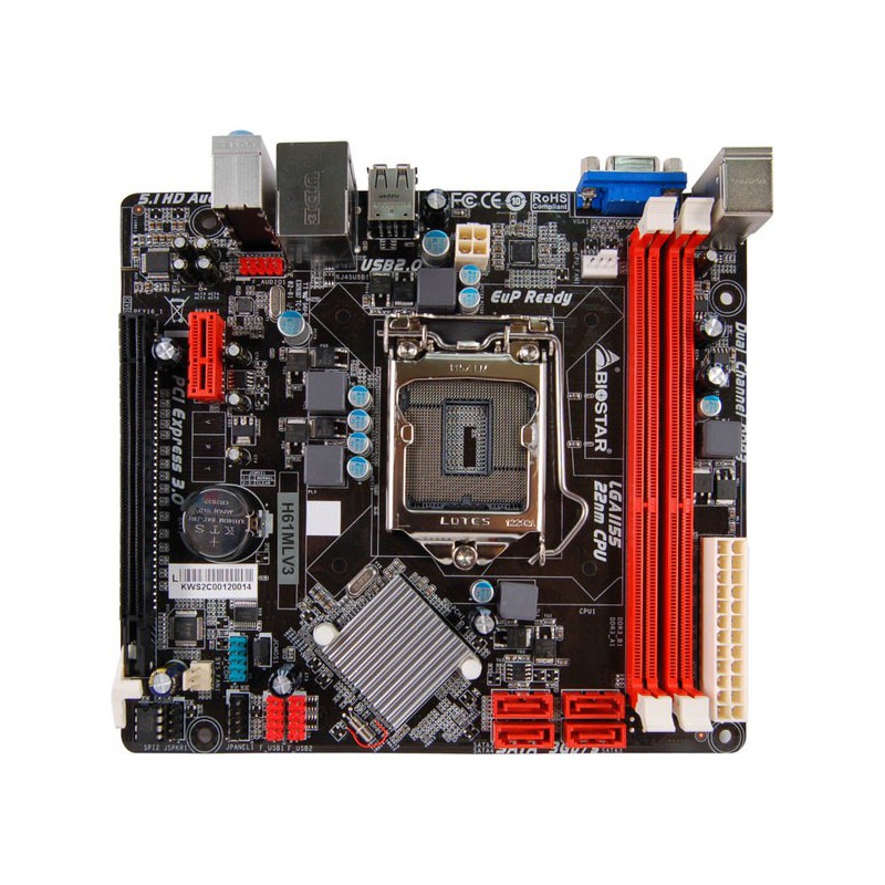 Carte mère Biostar H61MLV3