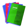 Registre ESSENTIAL Purple 5/5 / 300 Pages