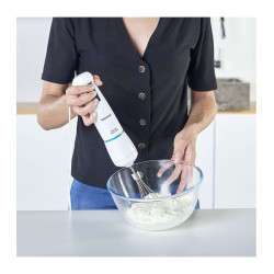 Mixeur Plongeant Taurus 916998 / 500 ML