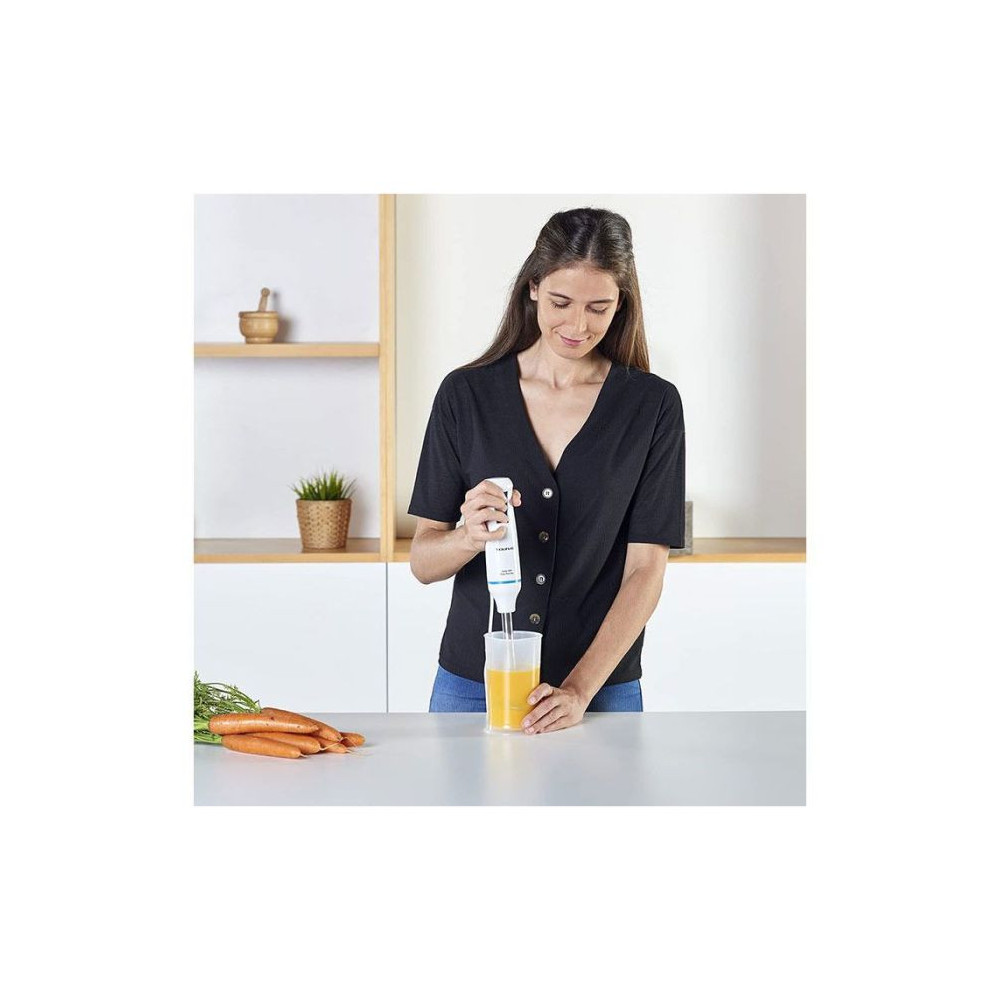 Mixeur Plongeant Taurus 916998 / 500 ML
