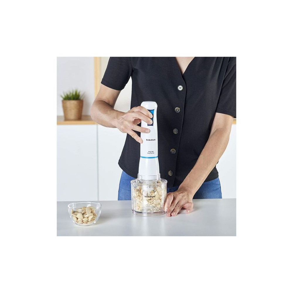 Mixeur Plongeant Taurus 916998 / 500 ML