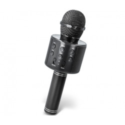 Microphone karaoké...