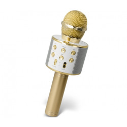 Microphone karaoké...