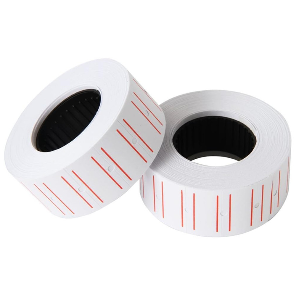 BOBINE DE 10 RUBAN ETIQUETEUSE R30 POUR MX-5500 / 21X12 CM