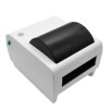 Imprimante Point de Vente Thermique CD410 / USB