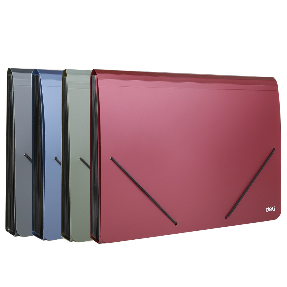 ORGANISER 13 COMP FERMETURE ELASTIC DELI / A4 / ASSORTIS