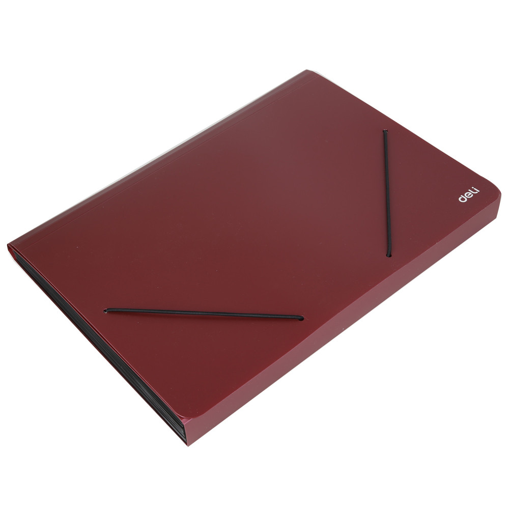 ORGANISER 13 COMP FERMETURE ELASTIC DELI / A4 / ASSORTIS