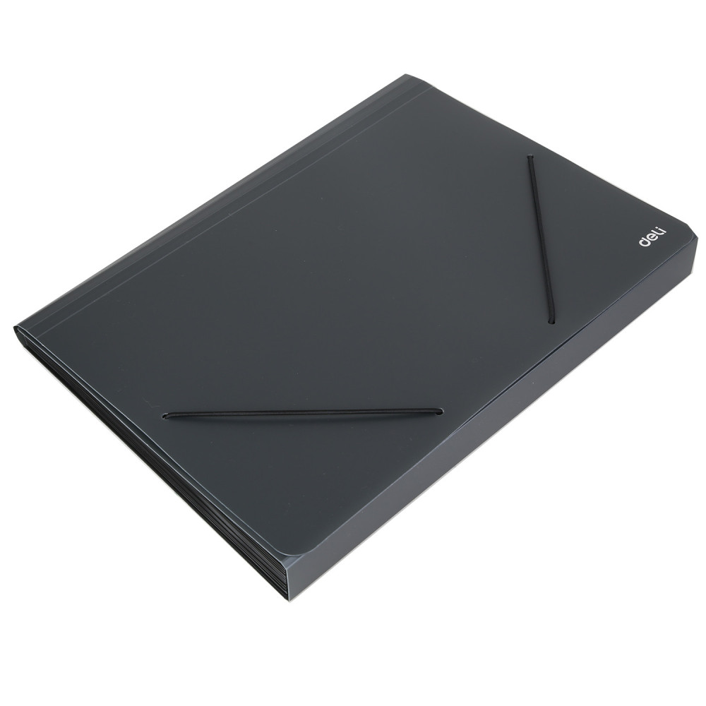 ORGANISER 13 COMP FERMETURE ELASTIC DELI / A4 / ASSORTIS