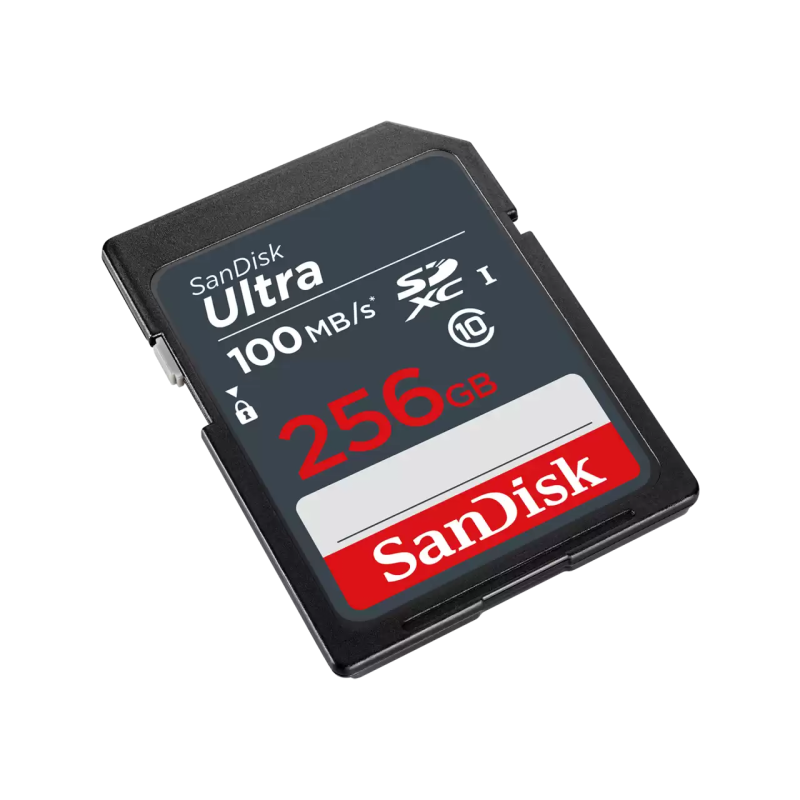 Carte mémoire SanDisk Ultra SDHC / 256 GO / CLASS 10