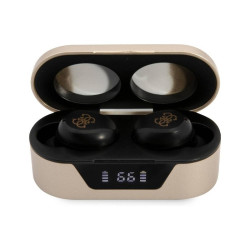 Guess True Wireless