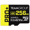 Carte mémoire TEAMGROUP A2 Pro Plus Card 256GB Micro SDXC UHS-I U3 A2