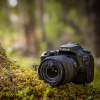 Appareil photo Canon EOS 90D + objectif EF-S 18-135mm IS USM