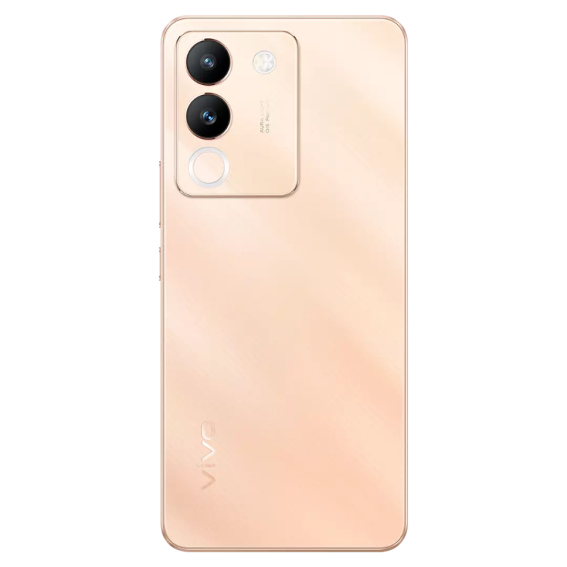 caméras vivo v29e