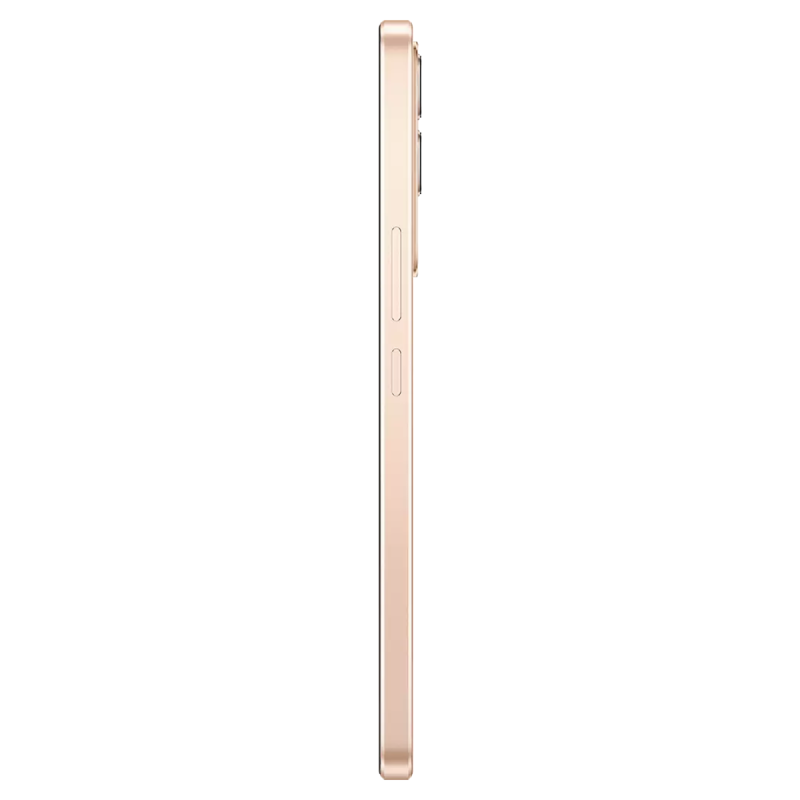 side vivo v29e gold