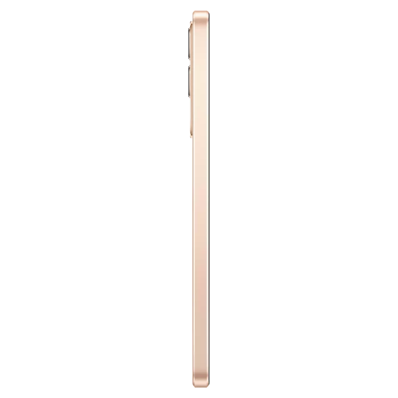 side vivo v29e gold