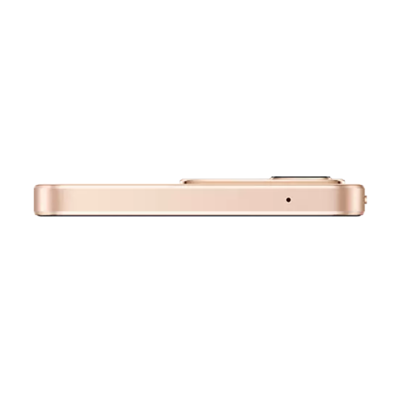 side vivo v29e gold
