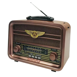 Haut Parleur Portable Radio...