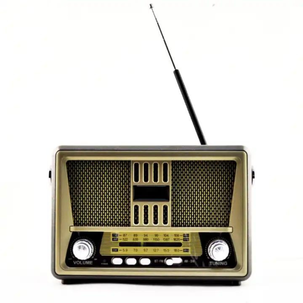 Haut Parleur Sans Fil ET Radia FM MEIER 552BT / Bluetooth / USB / Marron