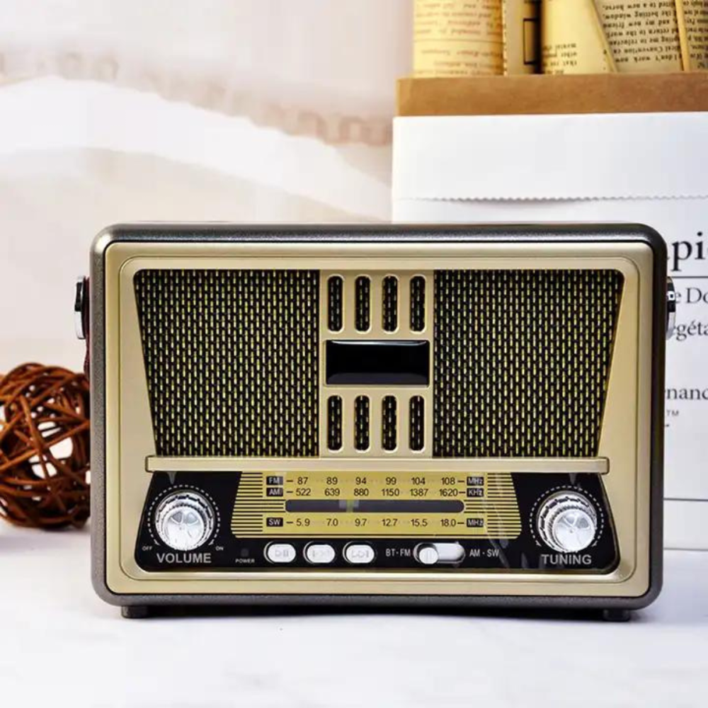 Haut Parleur Sans Fil ET Radia FM MEIER 552BT / Bluetooth / USB / Marron