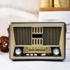 Haut Parleur Sans Fil ET Radia FM MEIER 552BT / Bluetooth / USB / Marron