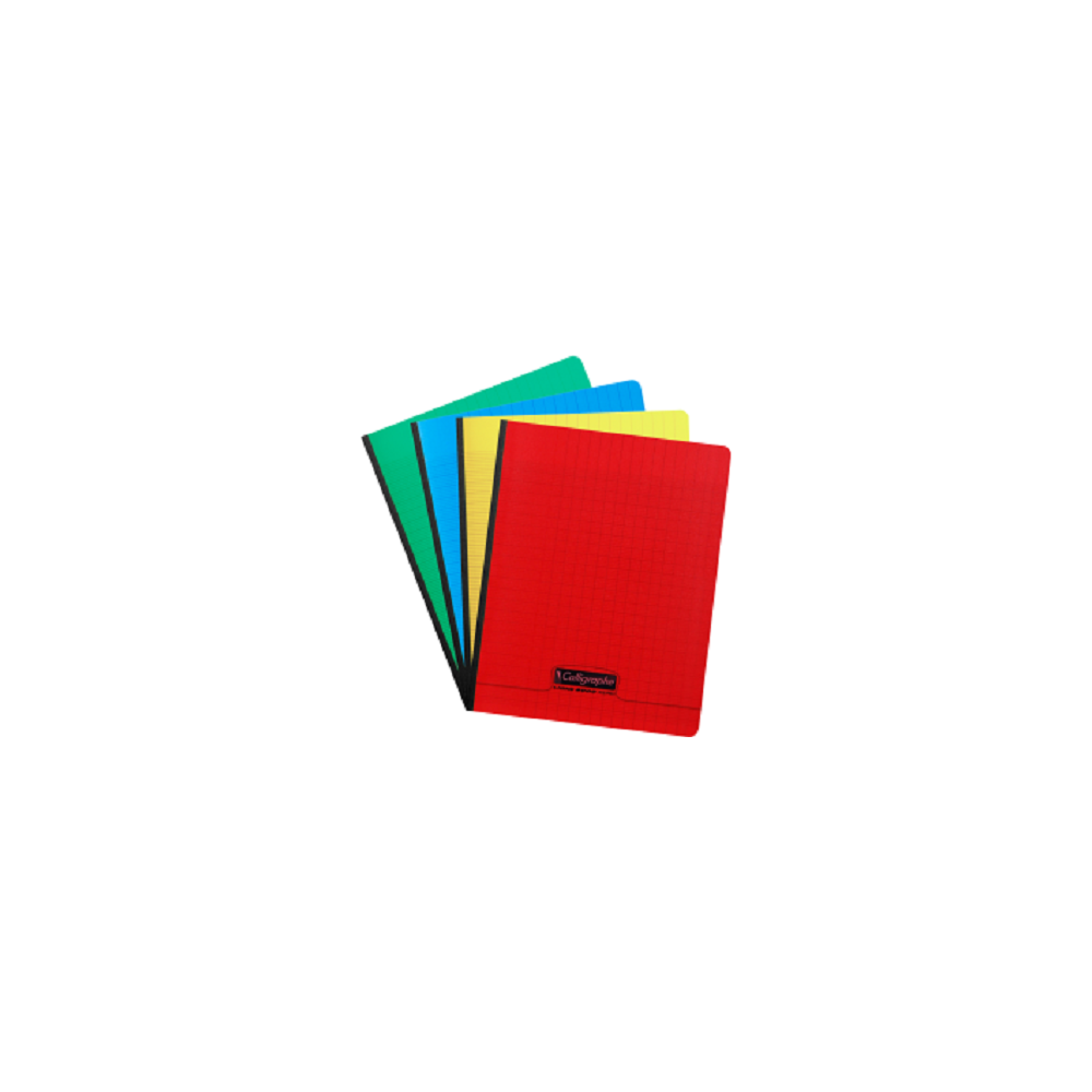 Cahiers Brochure Seyes Calligraphe / 17x 22 / 192P / 90G / Assortis