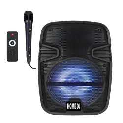 HAUT PARLEUR HOME DJ MODEL START 15W + Micro sans Fil + Télécommande
