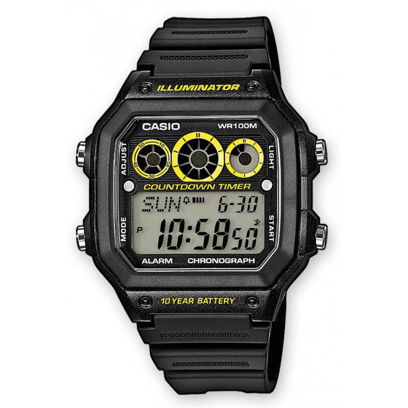 casio 3191 price