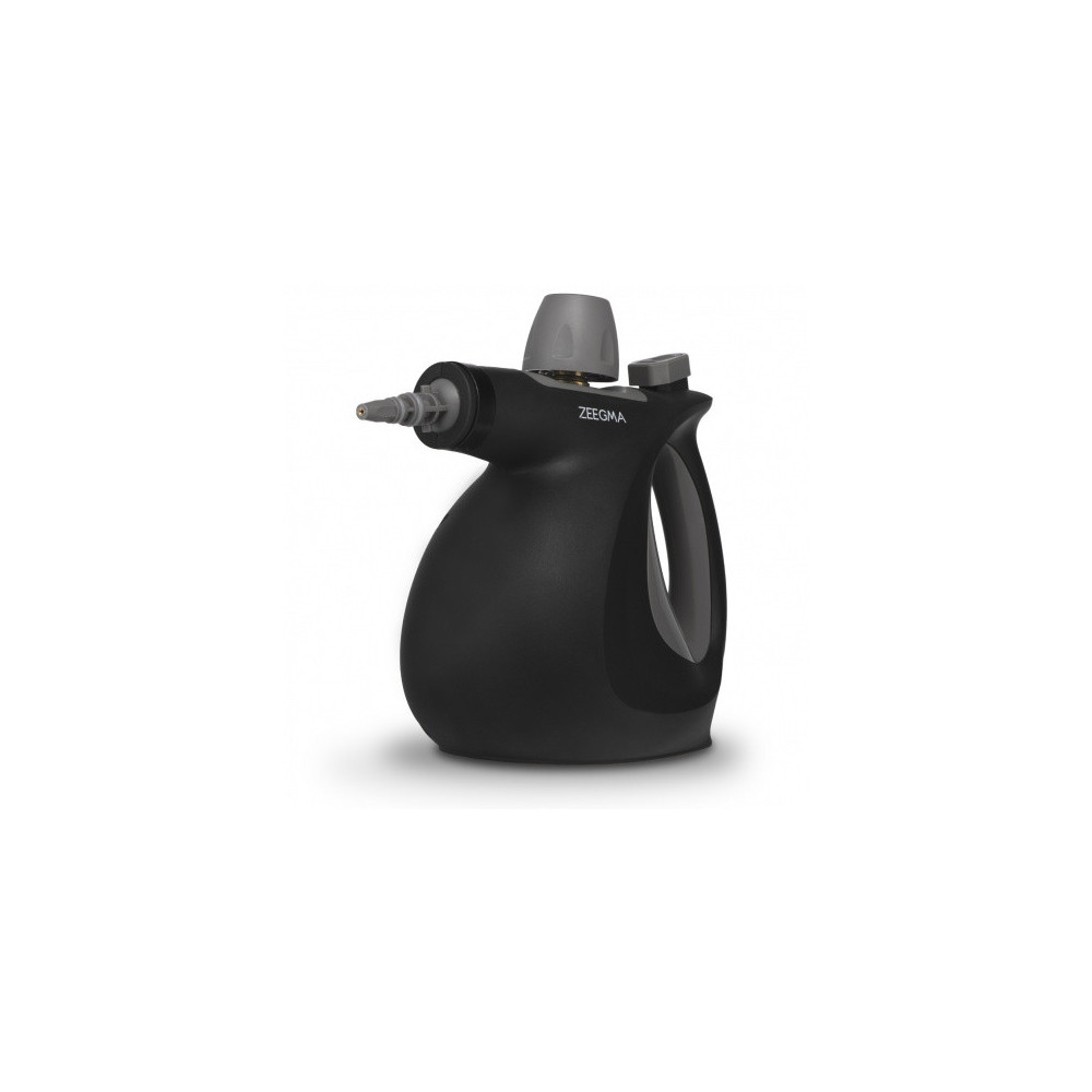 nettoyeur à vapeur