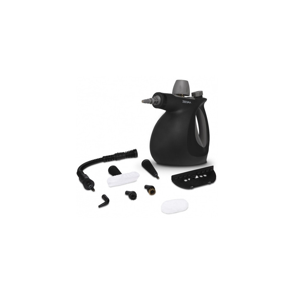 nettoyeur à vapeur