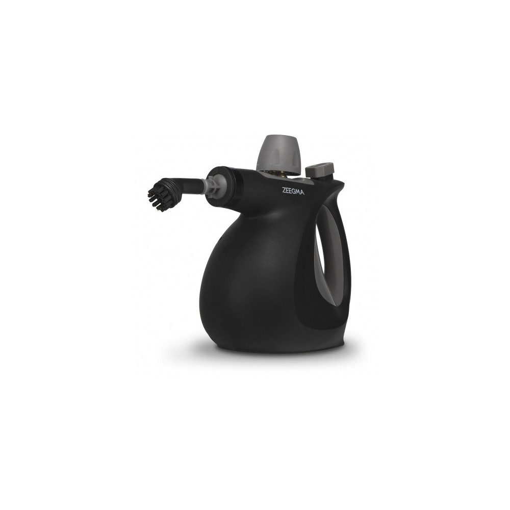 nettoyeur à vapeur