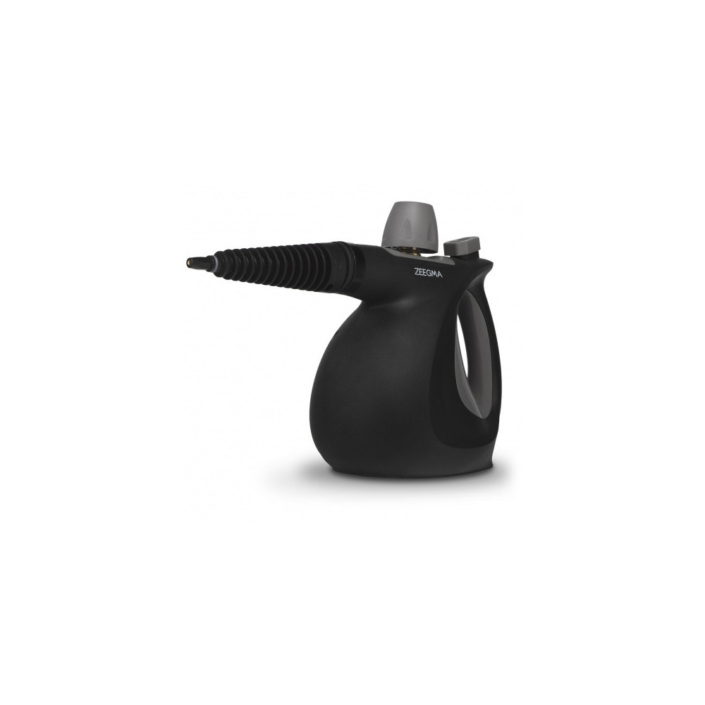 nettoyeur à vapeur