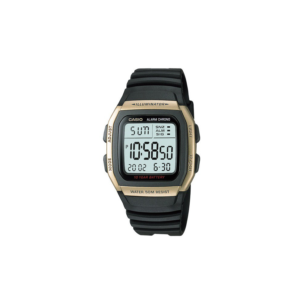 Montre Homme Casio W-96H-9AV
