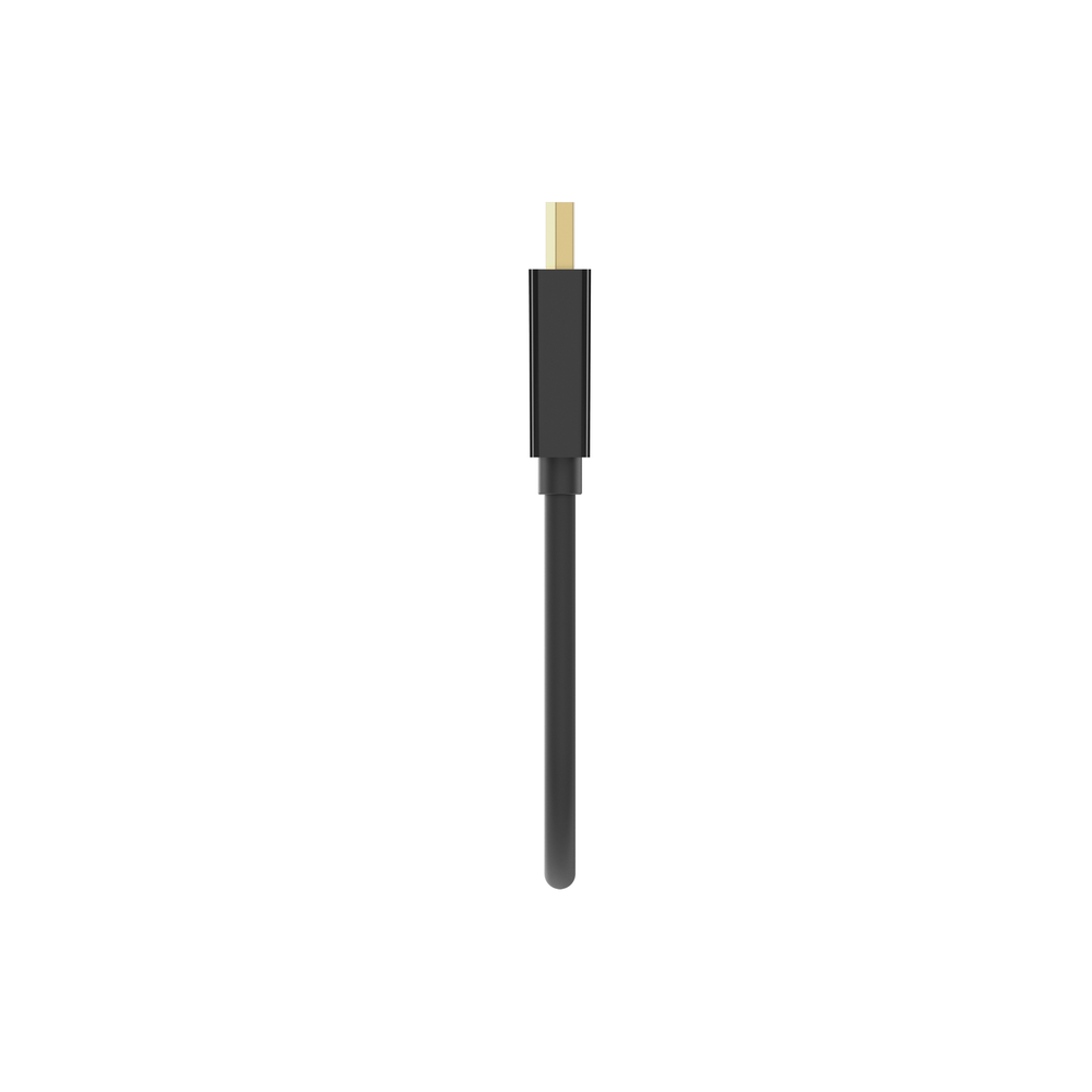 Adaptateur Belkin DisplayPort vers DVI 1080p