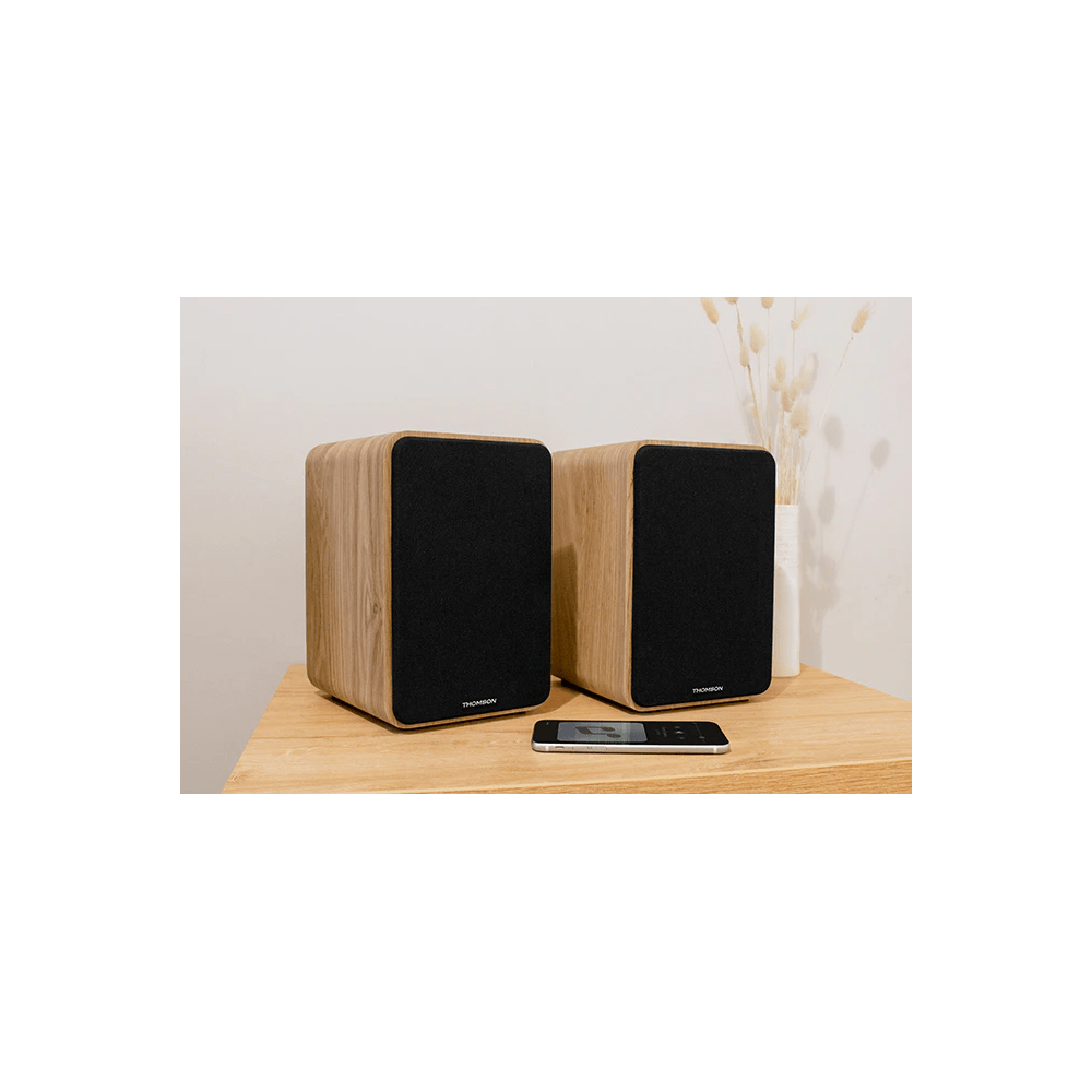 SET 2 ENCEINTES BOIS CLAIR THOMSON 100 Watts