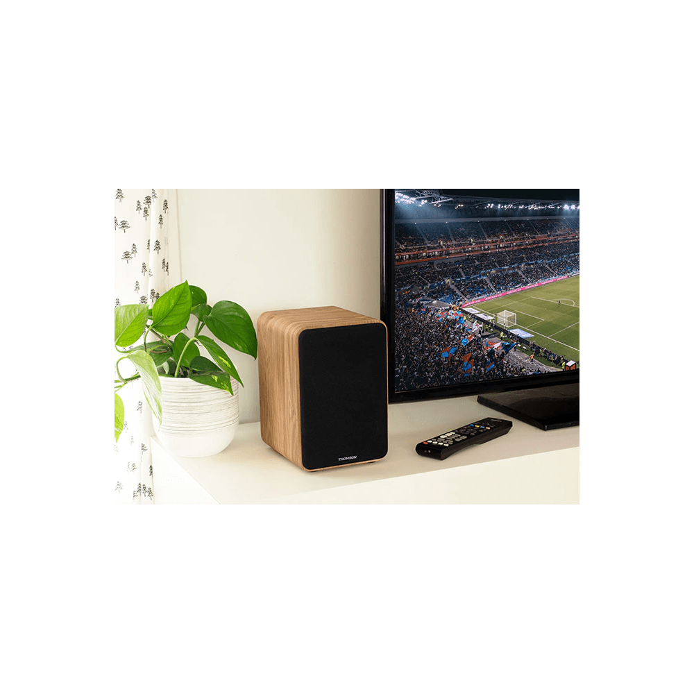 SET 2 ENCEINTES BOIS CLAIR THOMSON 100 Watts