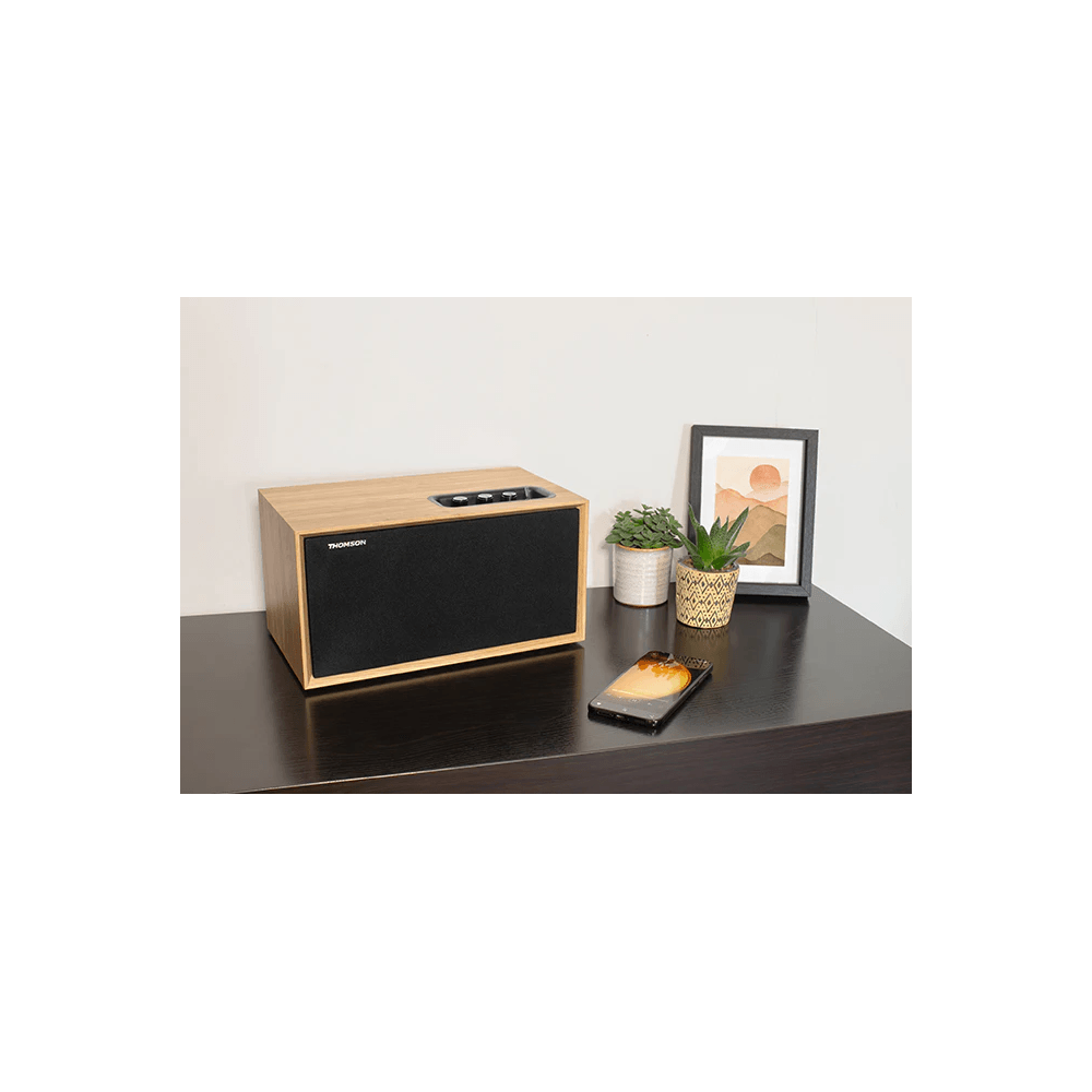 Haut Parleur Bluetooth THOMSON COSY WS502 / 100W / En Bois