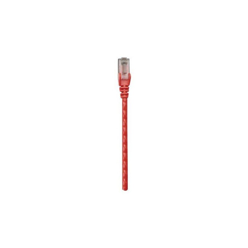 Câble RJ45 Cat 6 UTP 0.5M Rouge