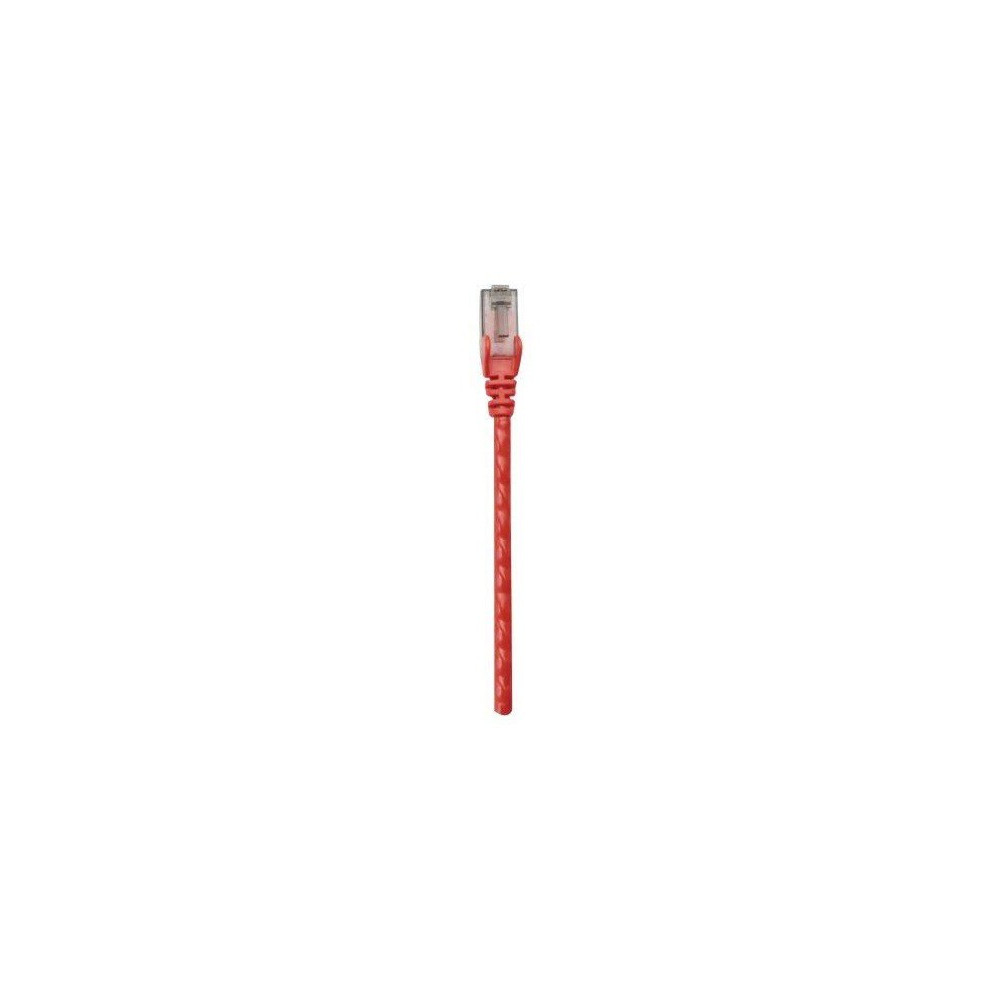 Câble RJ45 Cat 6 UTP 0.5M Rouge