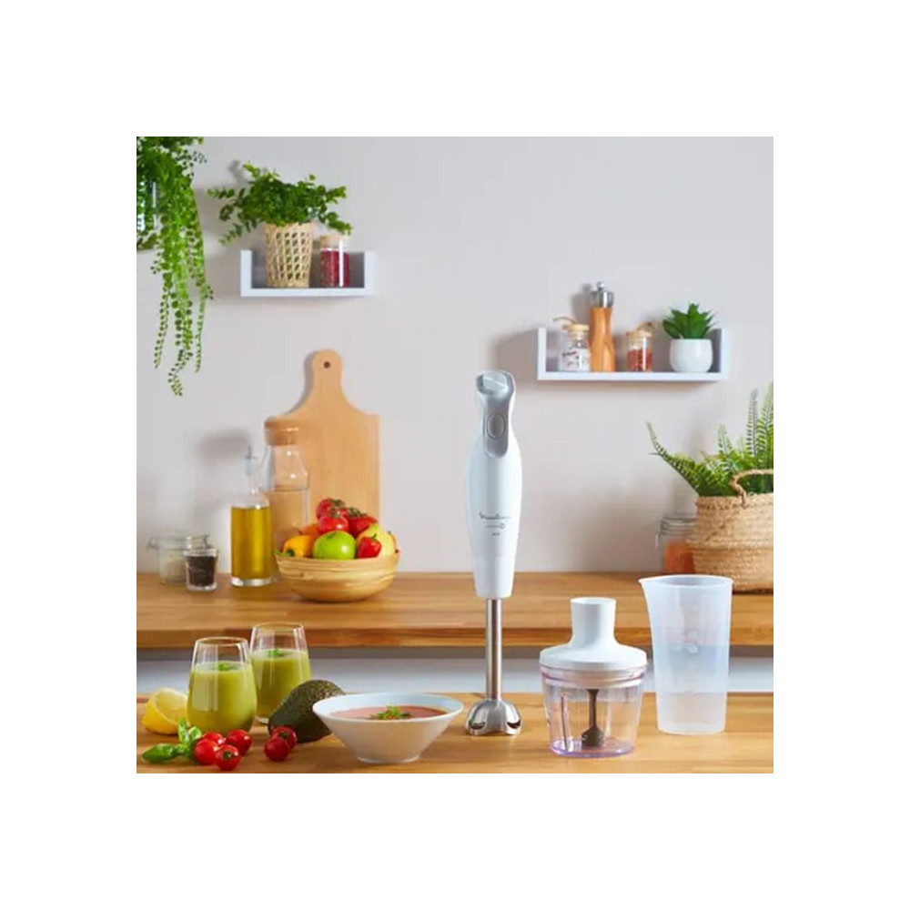Moulinex mixeur plongeant 3 en 1