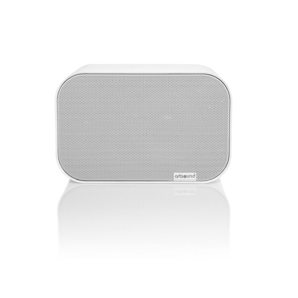 HAUT PARLEUR UNIVERSAL ARTSOUND / 2VOIE 20-60W / UNI30W