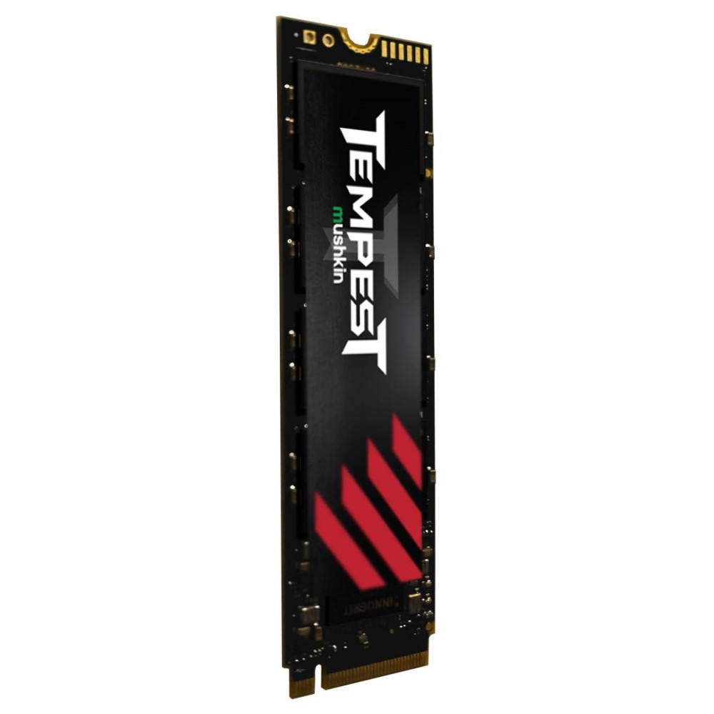 disque dur ssd