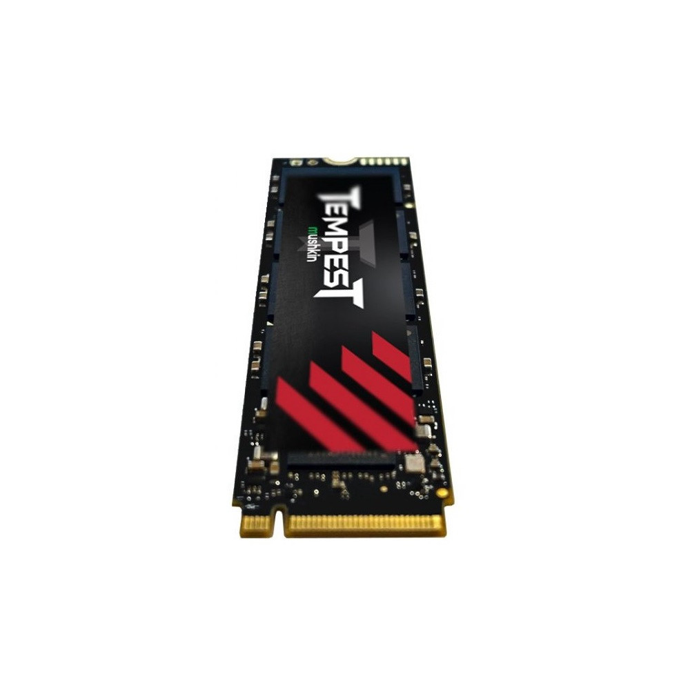 disque dur ssd