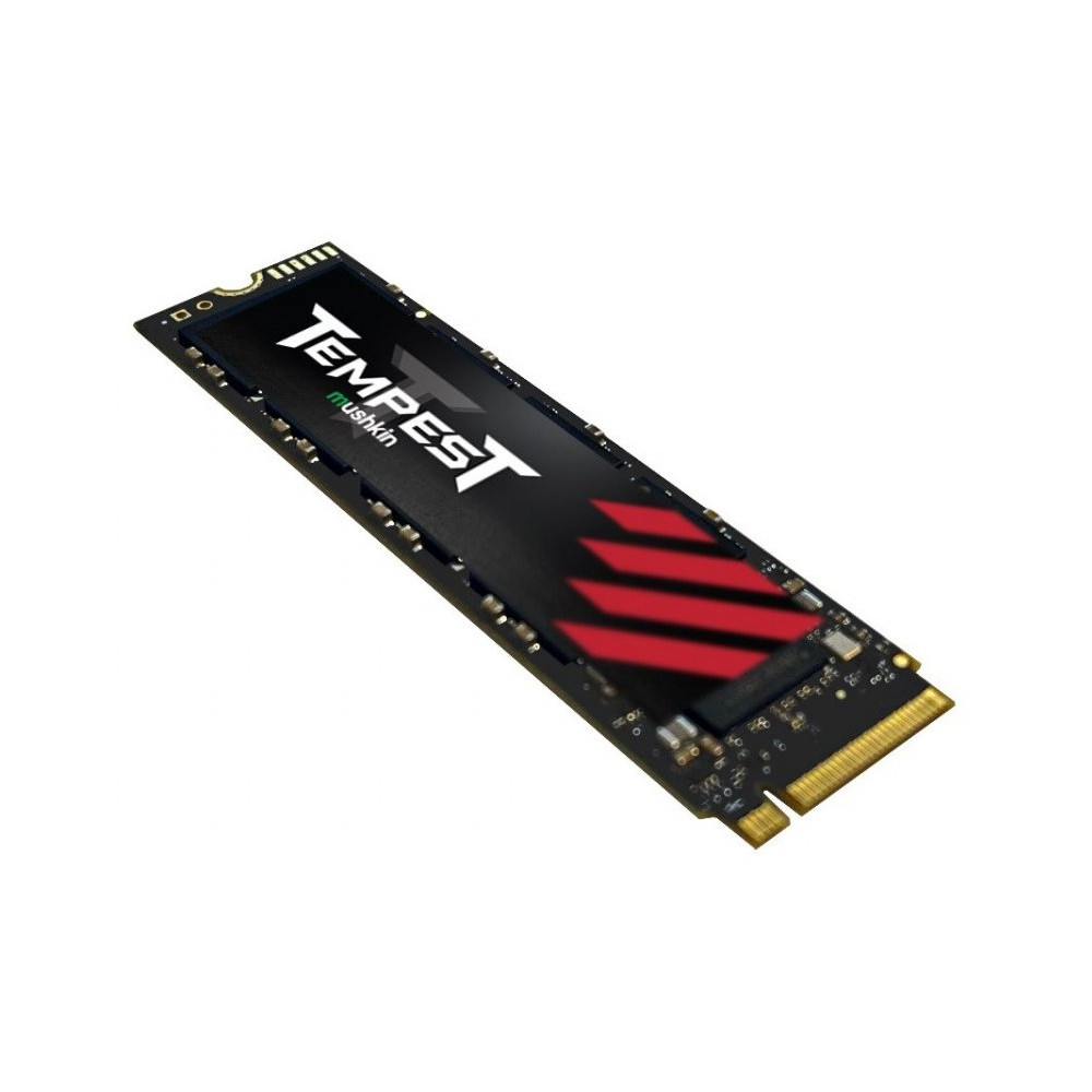 disque dur ssd