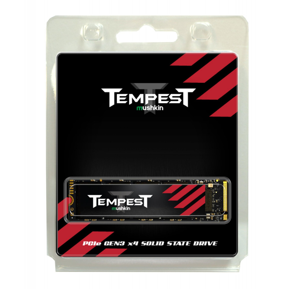 disque dur ssd