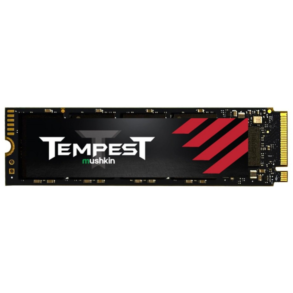 Disque Dur SSD interne M.2 (2280) PCIe Gen3 x4 Mushkin TEMPEST / 256 Go