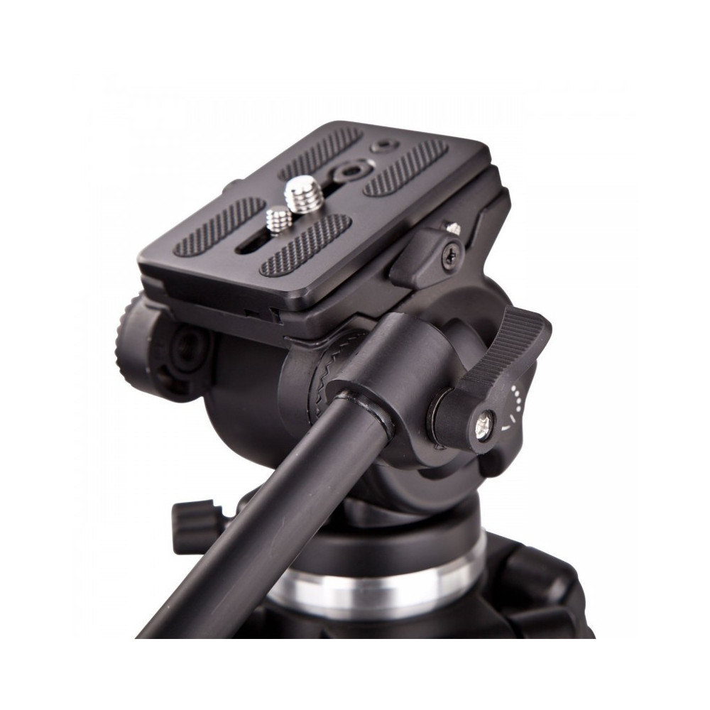 TREPIED WEIFENG WT717