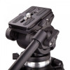 TREPIED WEIFENG WT717