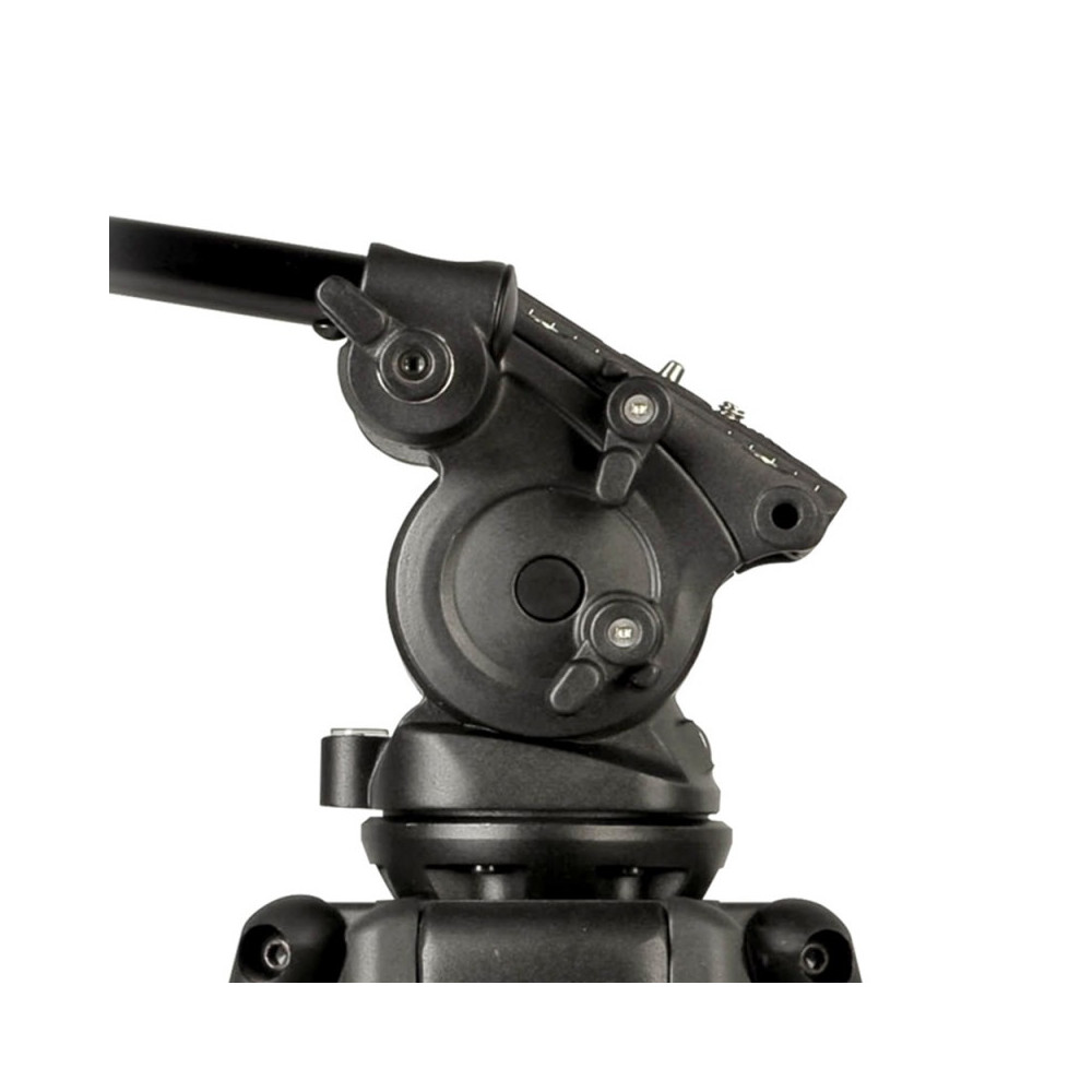 TREPIED WEIFENG WF718